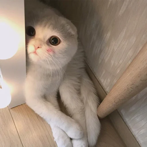 Милости пак :3 Милости пак :3 -