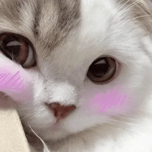mine mine -