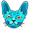 Minerall's cat Minerall's cat -