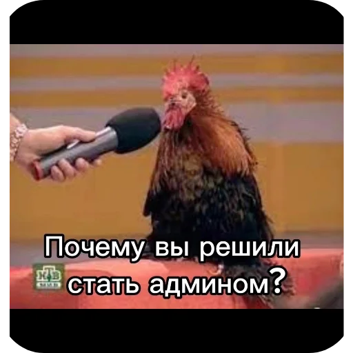 ьььмио ьььмио -