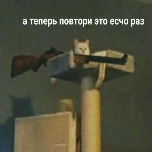 mirqwwpykni mirqwwpykni -