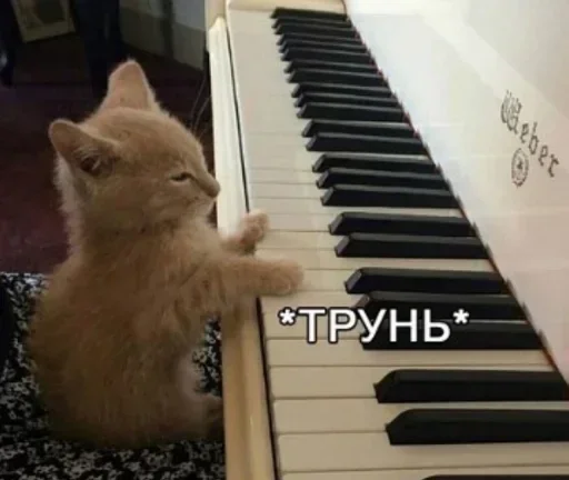 пошел нахуй пошел нахуй -