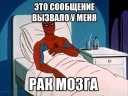 Разношёрстные мемы Разношёрстные мемы - СМС