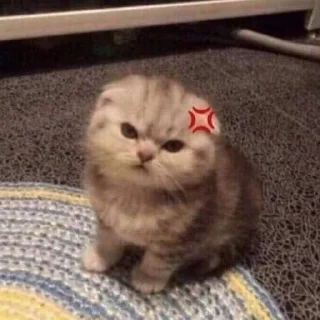 Sticker убойные котятки - 0