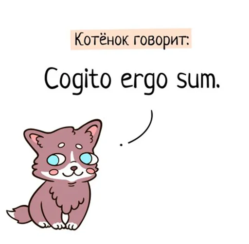 ml_pom ml_pom -