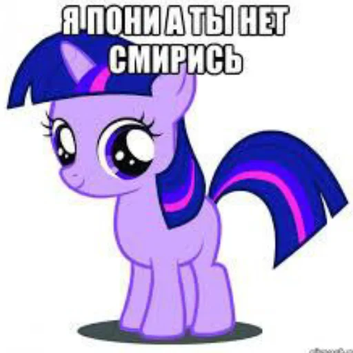 я пони а ты нет смирись я пони а ты нет смирись -