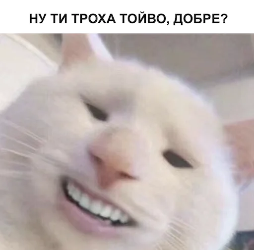 @mojaFosa налїпки @mojaFosa налїпки -