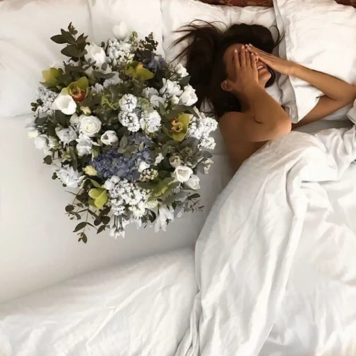moldov64 moldov64 -