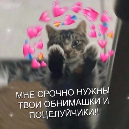 Психушка имени монашки Психушка имени монашки -