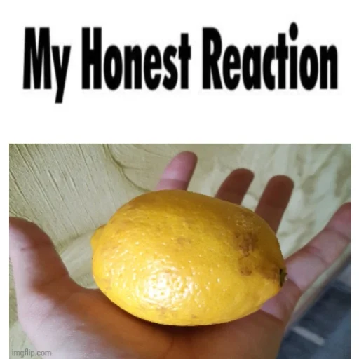 my honest mongolian reaction my honest mongolian reaction -