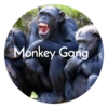 monkey gang monkey gang - СМС