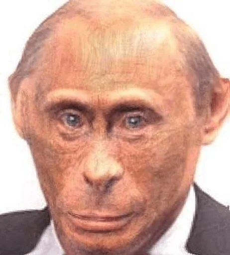 Monkey Putin Monkey Putin - human face