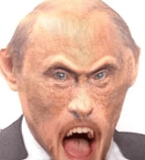 man man forehead human face