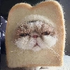 муд : муд : -