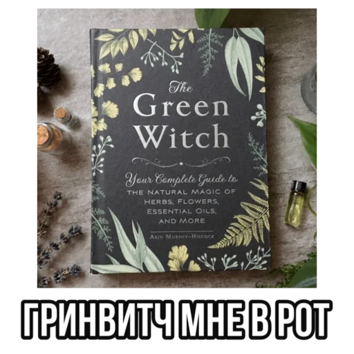 шабаш ведьм шабаш ведьм -