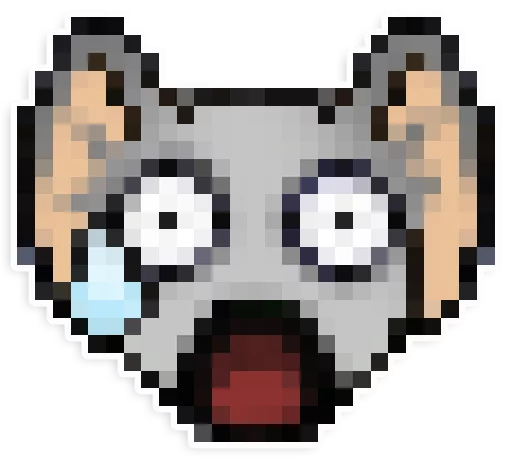 mooshkee mooshkee -
