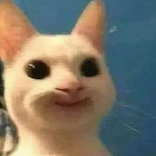morrrrre morrrrre -