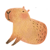 Mr. Capybara Mr. Capybara -