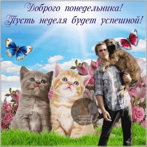 Больше стиков тут: @stikery4 Больше стиков тут: @stikery4 -