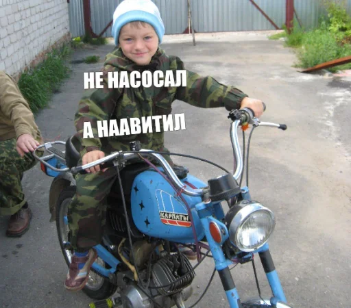naavitil naavitil -