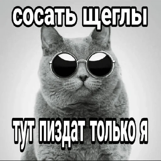 @sasatshegol @sasatshegol -