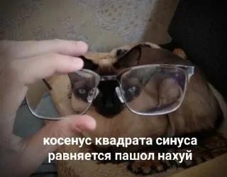 Sticker Наезды by @yunamo - 0