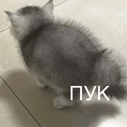Пердёжные стикеры Пердёжные стикеры - животное