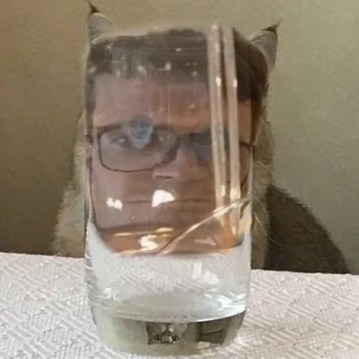 transparent material transparent material glass indoor