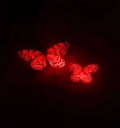 darkness darkness light red