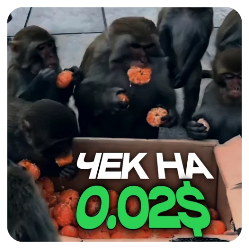 НА ТЕМКАХ @mankblog НА ТЕМКАХ @mankblog -