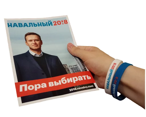 Navalny's Battle Navalny's Battle -