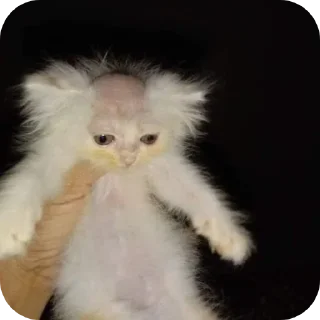 Стикер Полматери топ💗💗💗 - 8