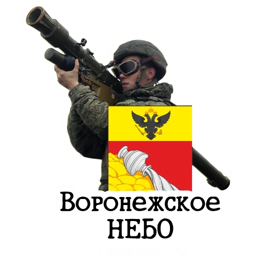 Воронежское Небо Воронежское Небо -