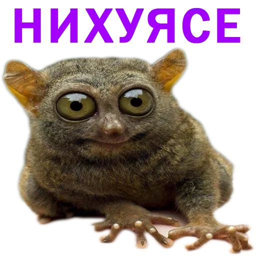 Нужные Стикеры Нужные Стикеры -