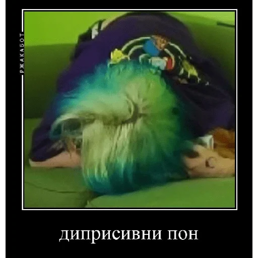 некоглайски пон некоглайски пон -