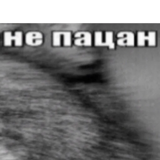 Ауе Ауе -