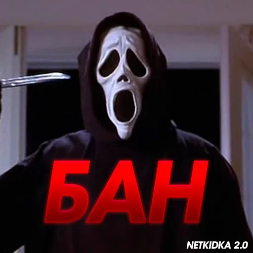 NetKidka 2.0 NetKidka 2.0 -