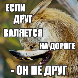 Sticker Волчьи стикеры @neural_wise_wolf - 7