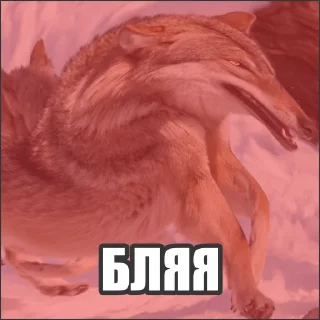Sticker Волчьи стикеры @neural_wise_wolf - 3