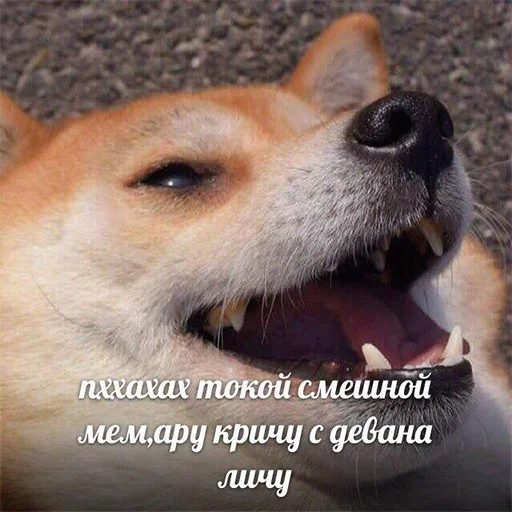 Стикерпак Ярика Стикерпак Ярика -
