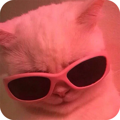 Bad Cats @stickerus Bad Cats @stickerus -