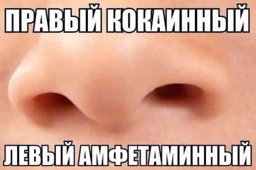 СМС СМС орган кожа