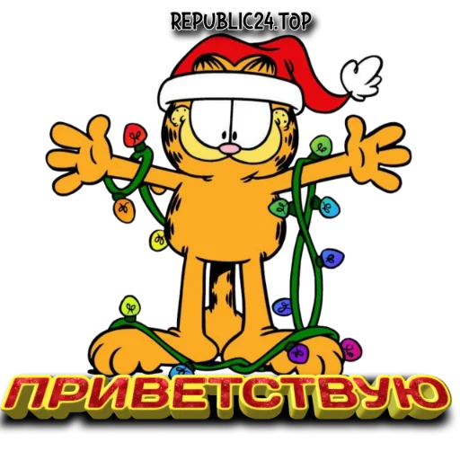 НГ ДНР 2024 НГ ДНР 2024 -
