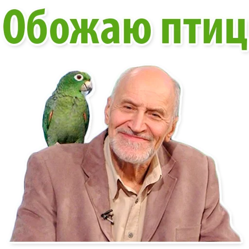 animal animal bird smile