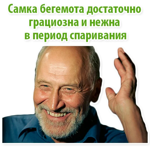 text text human face man