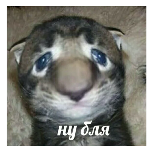 M D A жана hardbass❤️ M D A жана hardbass❤️ -