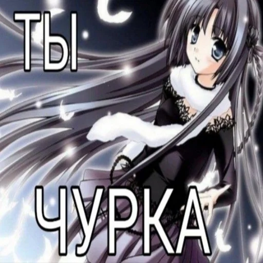 @aokishiraqq ꖑ @aokishiraqq ꖑ -