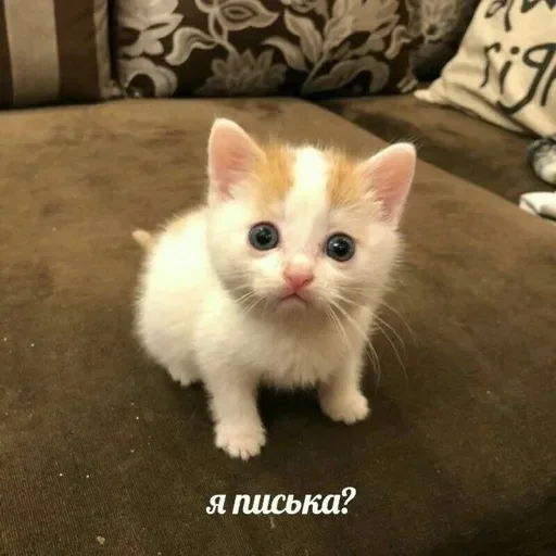 Хзхх ваще чо эта @temy_yazyki_bot Хзхх ваще чо эта @temy_yazyki_bot -