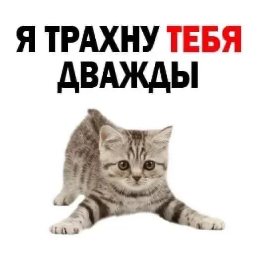 Больше стиков тут: @stikery4 Больше стиков тут: @stikery4 -