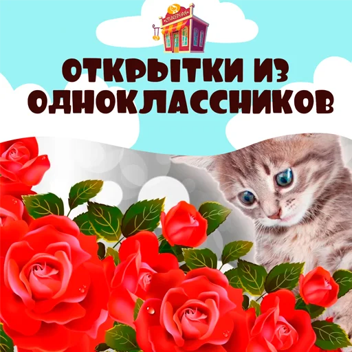 Открытки из одноклассников @stickernayaa Открытки из одноклассников @stickernayaa -